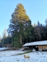 Lauterbad